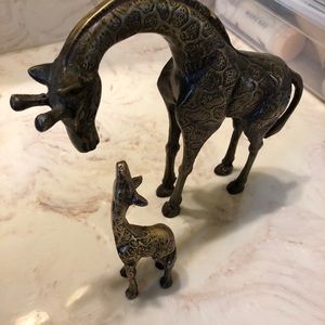 Meet your Posher, Caleb